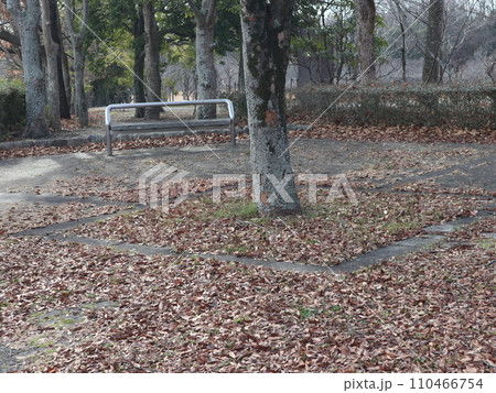 1月の西神中央公園　神戸市　西区　公園 110466754