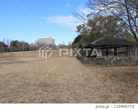 1月の西神中央公園　神戸市　西区　公園 110466755