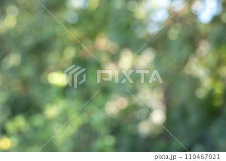 玉ボケ グリーン系 背景素材 冬素材 110467021