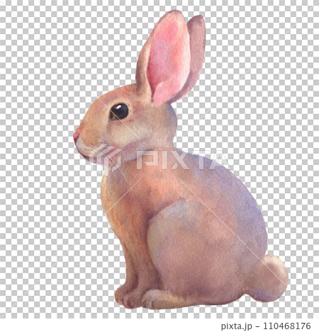 Easter rabbit watercolor. Cute vintage bunny isolated on white background. Hand painted illustration for happy holidays. Drawing on isolated white background for greeting cards or invitations. 110468176