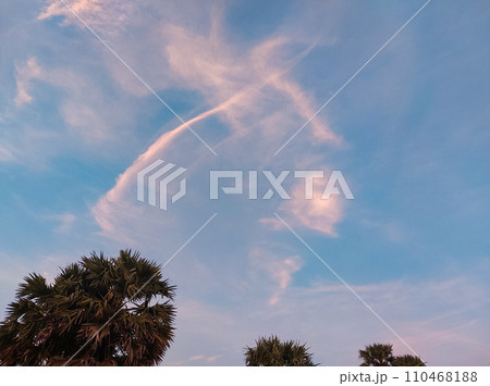 Wispy clouds against a blue sky with silhouettes of palm trees on a tropical summer sunset 110468188