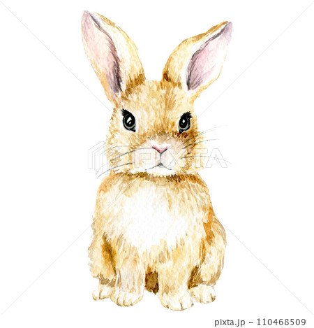 watercolor drawing. cute rabbit. easter bunny,のイラスト