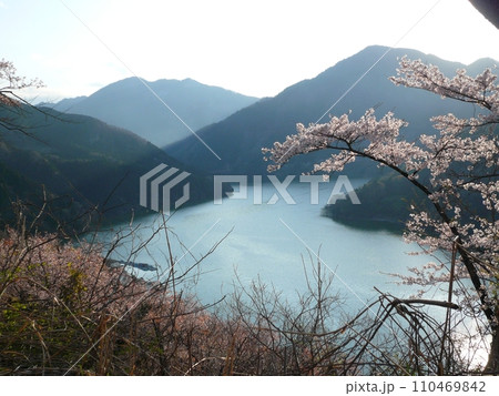神流湖畔の桜 (埼玉県神川町) 神流湖畔の桜 (埼玉県神川町) 110469842