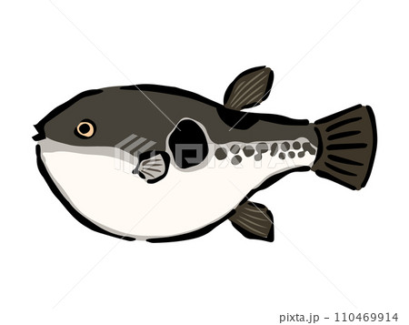 ふぐの手書きイラスト 110469914