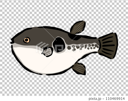 ふぐの手書きイラスト 110469914
