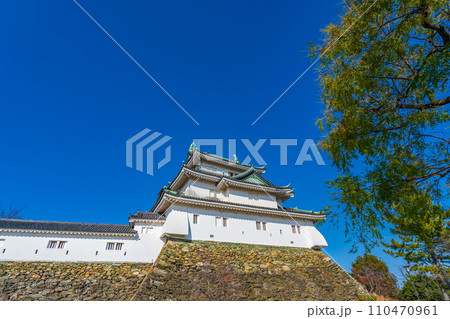 和歌山市　和歌山城の大天守 110470961