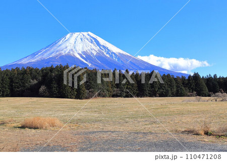富士山麓朝霧高原 110471208