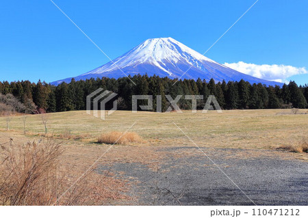 富士山麓朝霧高原 富士山麓朝霧高原 110471212