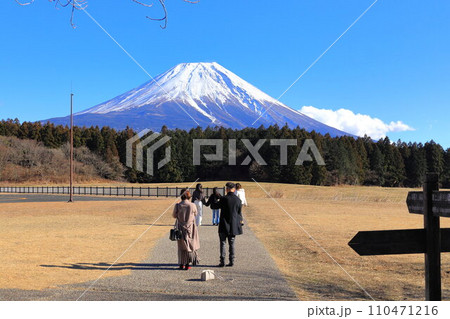 富士山麓朝霧高原 富士山麓朝霧高原 110471216