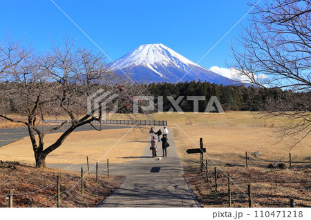 富士山麓朝霧高原 富士山麓朝霧高原 110471218