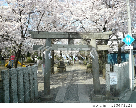 浮島稲荷神社 (埼玉県川越市) 浮島稲荷神社 (埼玉県川越市) 110471223