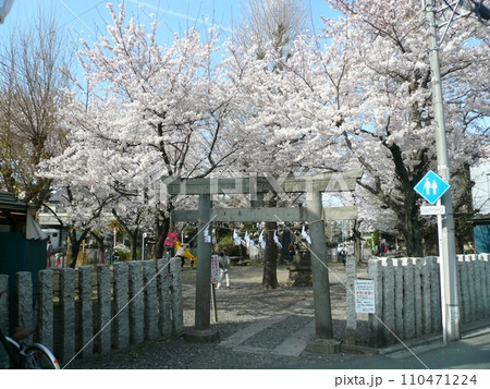 浮島稲荷神社 (埼玉県川越市) 浮島稲荷神社 (埼玉県川越市) 110471224