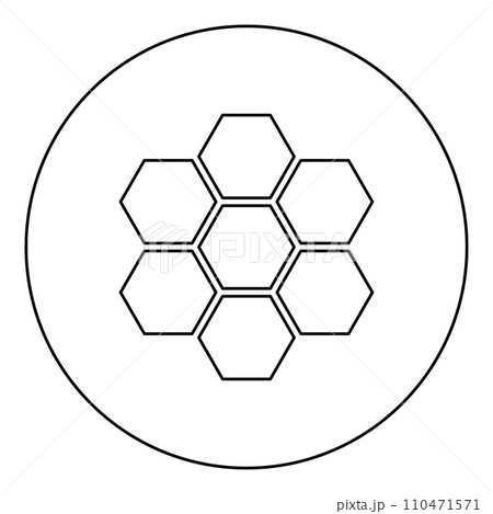 Hexagonal technology concept hexagon six items bee sota geometry six sided polygon icon in circle round black color vector illustration image outline contour line thin style 110471571