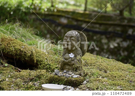 京都大原三千院で散策 110472489