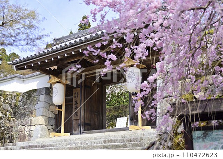 京都大原三千院で散策 110472623