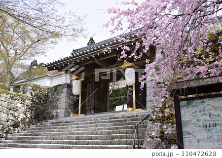 京都大原三千院で散策 110472628