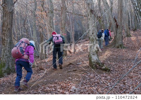 雑木林の登山道 110472824