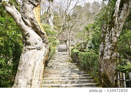 京都大原寂光院で散策 110472850