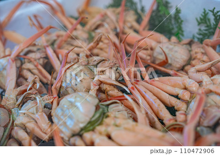 【#魚市場】セコガニ 【#魚市場】セコガニ 110472906