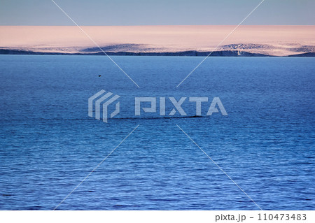 Arctic Islands Glaciers, snowfields and rock outcrops Arctic Islands Glaciers, snowfields and rock outcrops 110473483