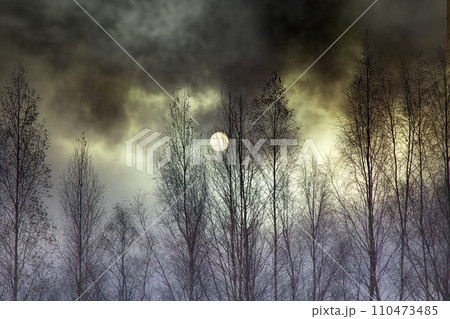 landscape dark atmosphere 110473485