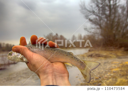 fishing mountain river fishing mountain river 110473584