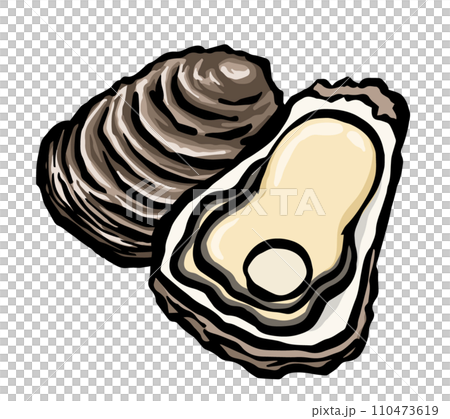 岩牡蠣(岩牡蠣)手繪線描插圖 岩牡蠣(岩牡蠣)手繪線描插圖 110473619