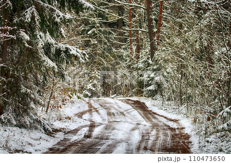 Forest roads and trails in beginning of winter 110473650