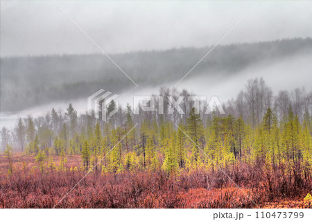 Fog coming down from mountains on quiet forest lake 110473799