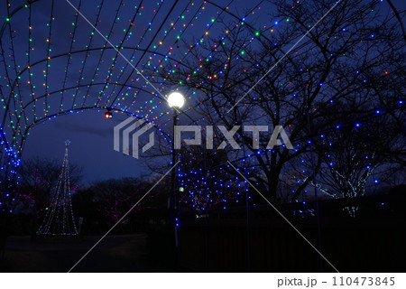夜の公園のイルミネーション2 110473845