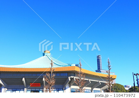 東京都千代田区、日本武道館の風景 東京都千代田区、日本武道館の風景 110473972