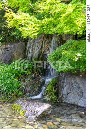 富山県　新緑が美しい富山城趾公園の池泉回遊式庭園 110474028