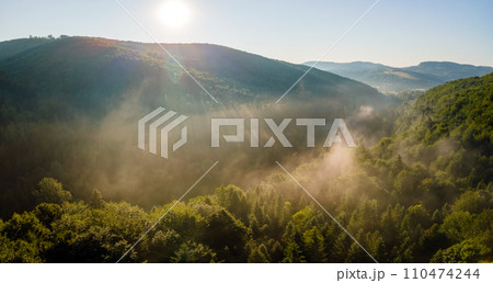 Vibrant foggy evening over dark forest trees at bright summer sunset. Amazingl scenery of wild woodland at dusk. Vibrant foggy evening over dark forest trees at bright summer sunset. Amazingl scenery of wild woodland at dusk. 110474244