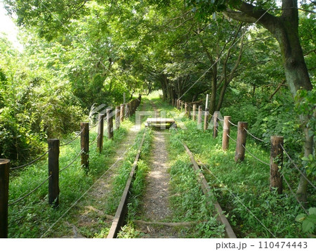 西武安比奈線跡地 (埼玉県川越市) 西武安比奈線跡地 (埼玉県川越市) 110474443