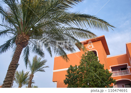 Fragment of red brick resort hotel exterior with palm trees under blue summer sky 110474691