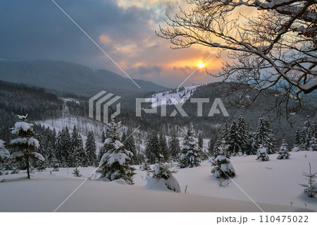 Amazing winter landscape with pine trees of snow covered forest in cold mountains at sunrise. Amazing winter landscape with pine trees of snow covered forest in cold mountains at sunrise. 110475022