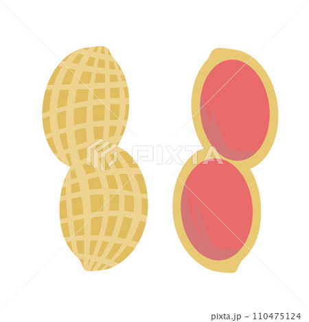 落花生のイラスト 落花生のイラスト 110475124