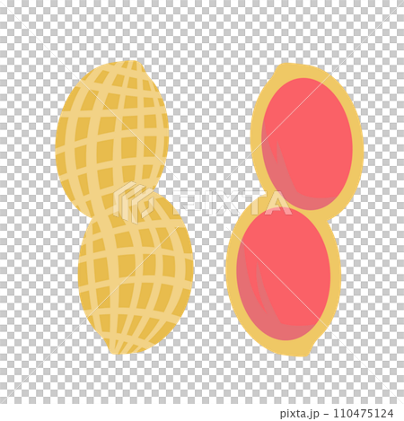 落花生のイラスト 落花生のイラスト 110475124