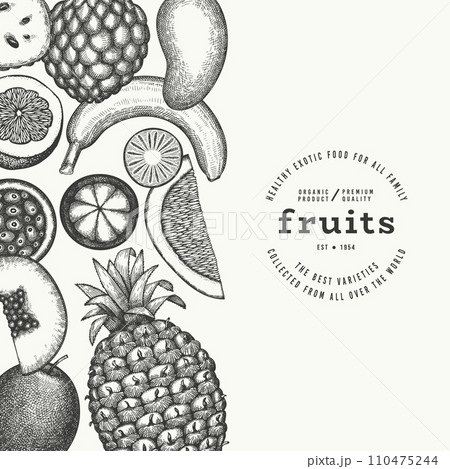 Tropical Fruit Design Template. Vector Hand Drawn Exotic Fruit Banner. Vintage Style Menu Illustration. 110475244