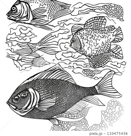 泳ぐ魚たち 泳ぐ魚たち 110475436