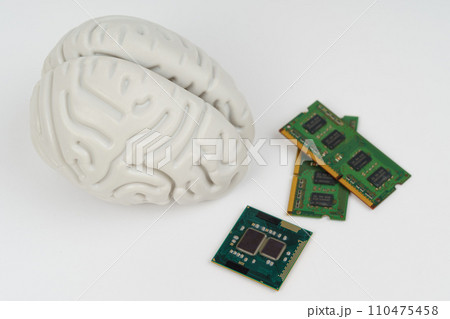 On a white background, a model of the brain and microcircuits 110475458