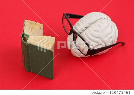 Human brain wearing glasses, completely immersed in reading a book, on a red background. 110475461
