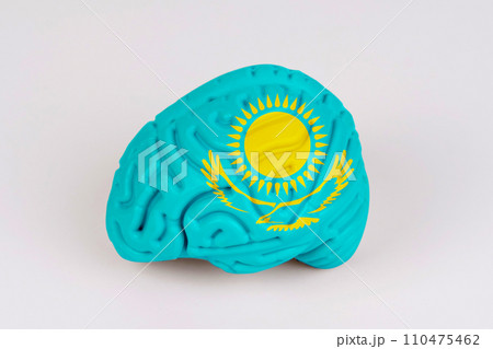 On a white background, a model of the brain with a picture of a flag - Kazakhstan 110475462