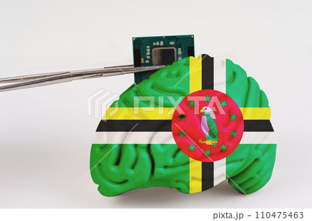 On a white background, a model of the brain with a picture of a flag - Dominica, a microcircuit, a processor, is implanted into it. 110475463
