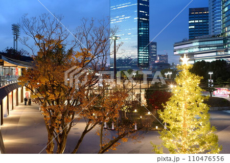 大阪城公園 110476556