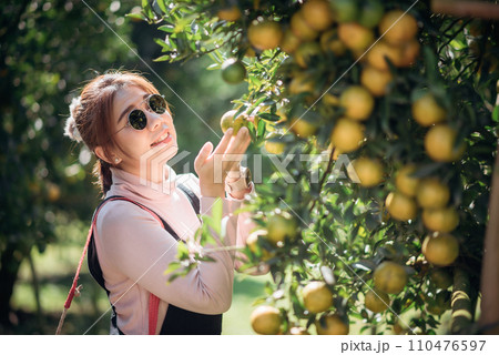 A woman farmer is working in orchard or orange farm. 110476597