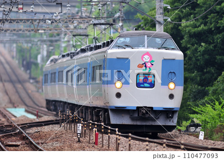 中央本線　四方津ー上野原　JR東日本　183系　M50編成（幕張）　ホリデー快速　河口湖 110477093