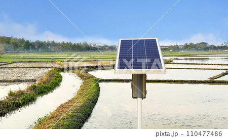Paddy field irrigated with solar energy in rural area 110477486