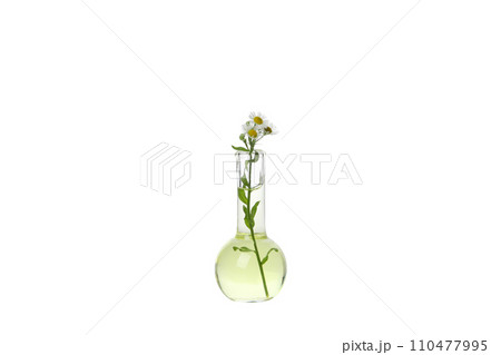 PNG, Test tube with flowers, isolated on white background 110477995