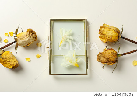 Dried yellow roses and white flowers under glass on light background, top view Dried yellow roses and white flowers under glass on light background, top view 110478008